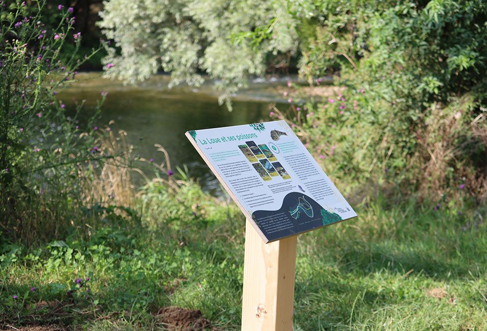 Sentier p&eacute;dagogique sur la zone humide de Chissey-sur-Loue.
