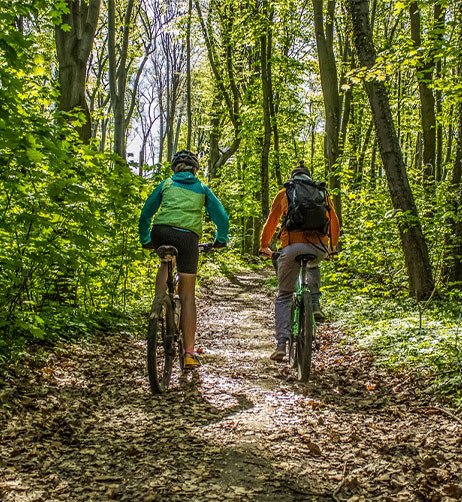 cyclistes dans une for&ecirc;t.
