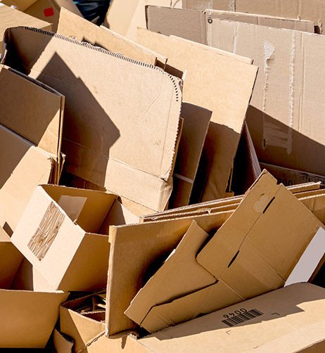 morceaux de cartons.