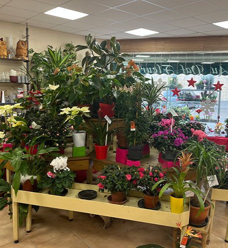 int&eacute;rieur de la boutique.